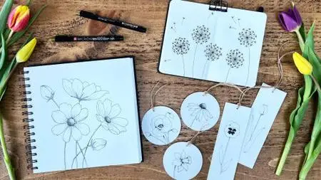 Botanical Drawing for Beginners: How to Draw Simple Flowers