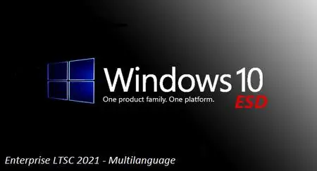 Windows 10 21H2 Build 19044.1466 Enterprise LTSC 2021 ESD (x64) Multilanguage January 2022
