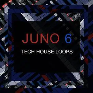 SPF Samplers Juno 6 Tech House Loops WAV MiDi
