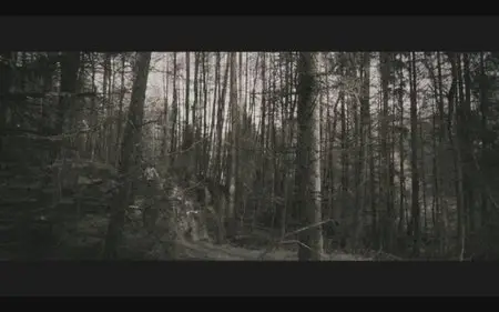 Outpost (2008, Limited)