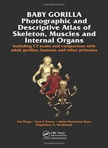 Baby Gorilla: Photographic and Descriptive Atlas of Skeleton, Muscles and Internal Organs (repost)