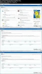 Lynda - Managing a Hosted Web Site