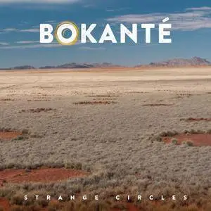 Bokante - Strange Circles (2017)