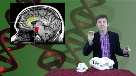 Coursera - Genes and the Human Condition (From Behavior to Biotechnology)