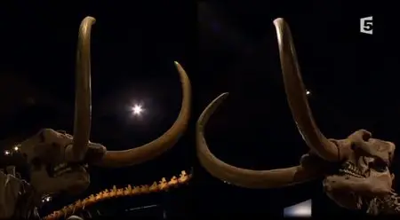 (Fr5) Mastodontes, l'énigme des titans de l'âge de glace (2013)
