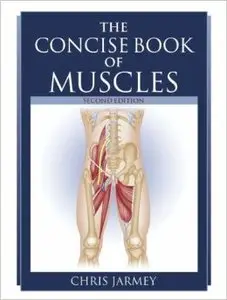 The Concise Book of Muscles