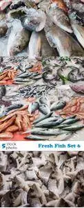 Photos - Fresh Fish Set 6