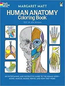 Human Anatomy Coloring Book: an Entertaining and Instructive Guide to the Human Body - Bones, Muscles, Blood, Nerves and