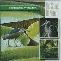 Sounds of Nature – Enchanting Everglades