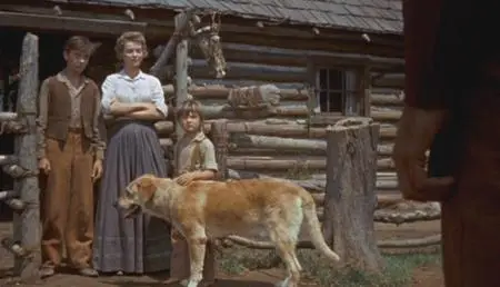 Old Yeller (1957)