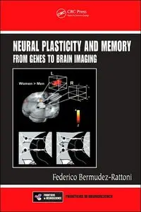 Neural Plasticity and Memory: From Genes to Brain Imaging (Frontiers in Neuroscience) (repost)