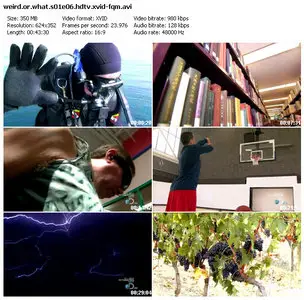Discovery Channel - Weird Or What S01E06: Personality Transplant (2010)