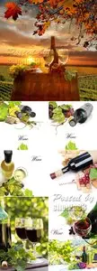 Stock Photo - Red & White Wine