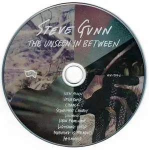Steve Gunn - The Unseen In Between (2019)