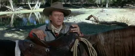 McLintock! (1963)