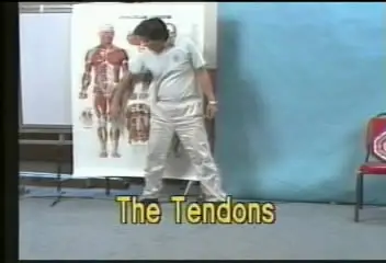Iron Shirt Chi Kung II