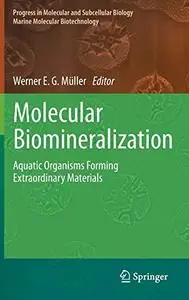 Molecular Biomineralization: Aquatic Organisms Forming Extraordinary Materials