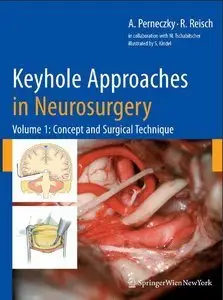 Keyhole Approaches in Neurosurgery Volume 1 (Repost)