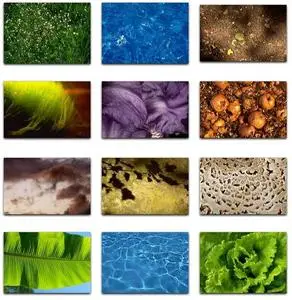 PhotoAlto 005 Nature