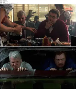 Planes, Trains and Automobiles (1987)