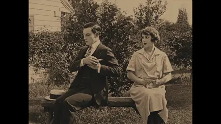 Seven Chances (1925)