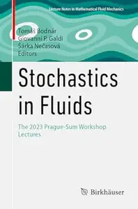 Stochastics in Fluids