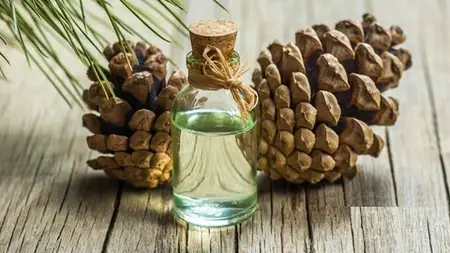 Beyond Healing With Turpentine & Kerosene