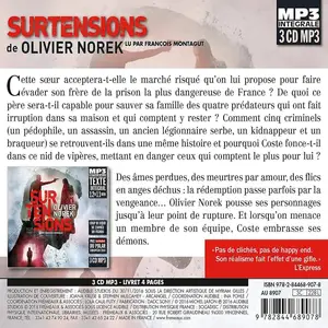 Olivier Norek, "Surtensions"