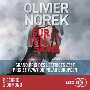 Olivier Norek, "Surtensions"