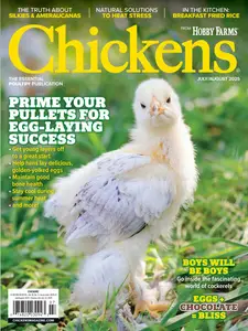 Chickens - July-August 2025