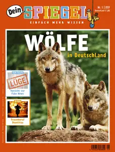 Dein Spiegel - Mai 2017