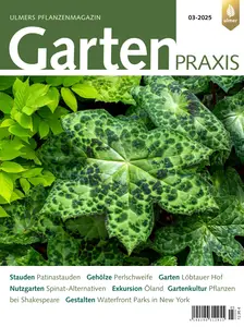 Gartenpraxis - No.3 2025