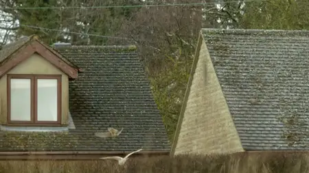 Wild Britain S01E07