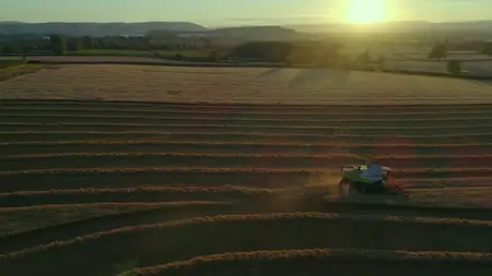 Wild Britain S01E07