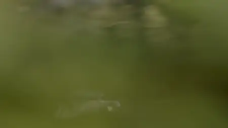 Wild Britain S01E07