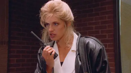 Enemy Gold (1994) [MultiSubs] + Commentary