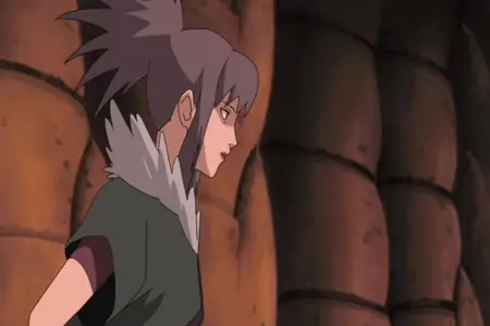 Naruto Shippuden S05E107