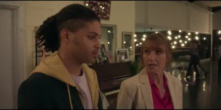Harry Wild S04E04
