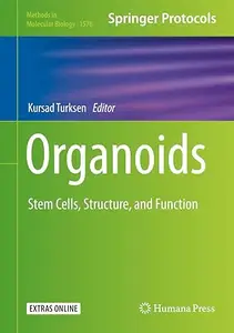 Organoids: Stem Cells, Structure, and Function