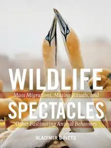 Wildlife Spectacles: Mass Migrations, Mating Rituals, and Other Fascinating Animal Behaviors