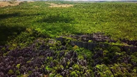 Extinct or Alive S02E05
