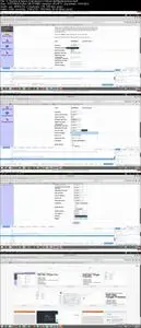 Impara il web application penetration testing da %00