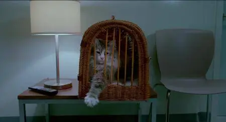 Nine Lives (2016)