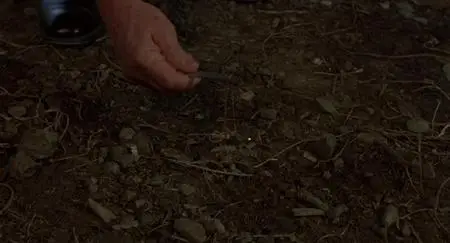 Murphy's Law (1986)