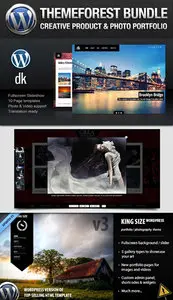 Wordpress Premium Creative Portfolio Website Templates