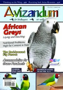 Avizandum – January 2019