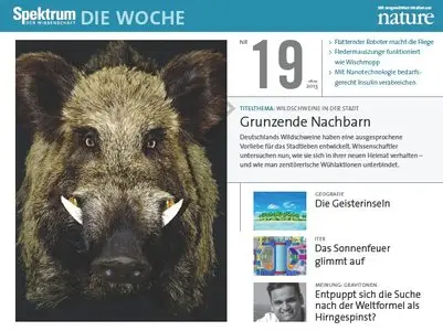 Spektrum die Woche No 19 vom 08 Mai 2013