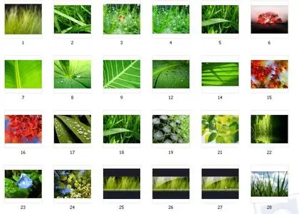 Vista Wallpapers
