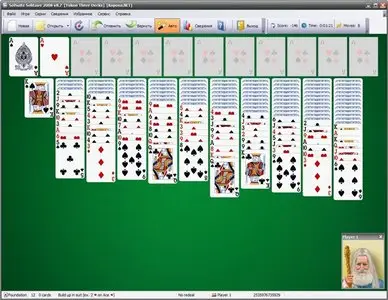 SolSuite  Solitaire 2008 8.10
