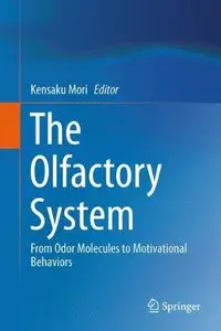 The Olfactory System: From Odor Molecules to Motivational Behaviors (Repost)